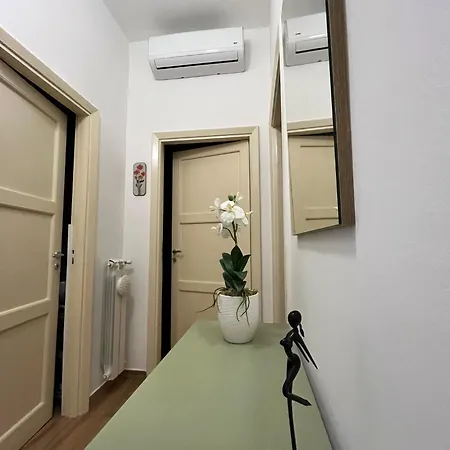 Apartment Dragonfly -